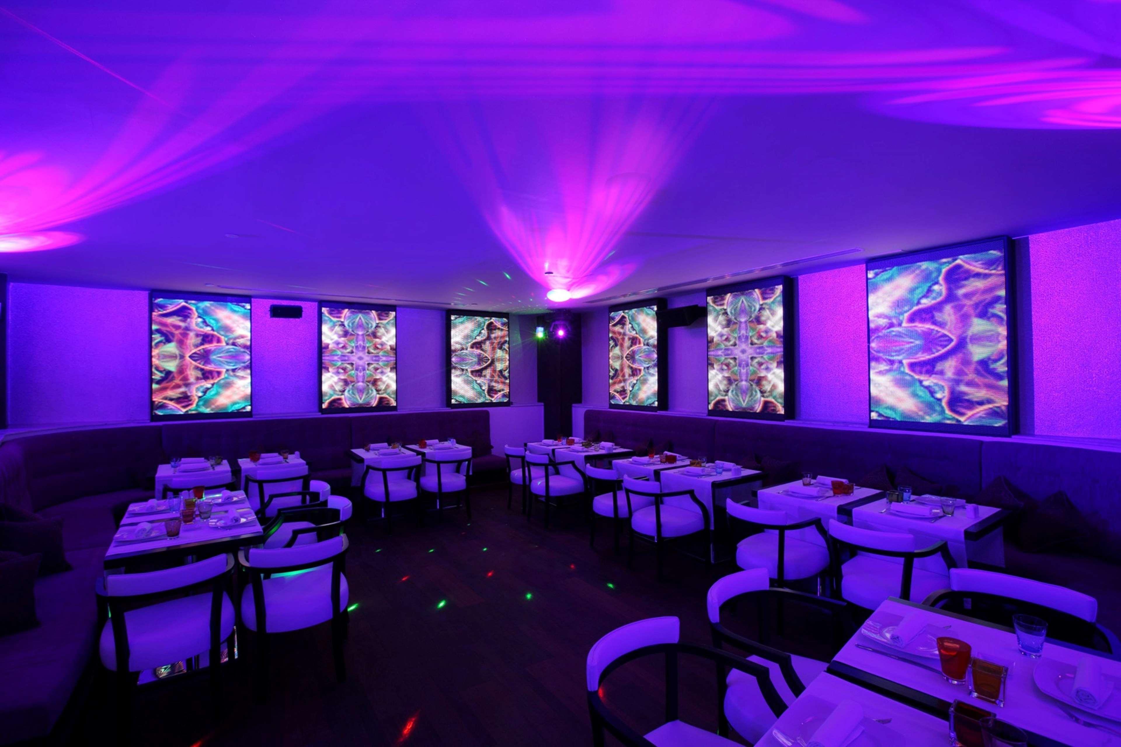 فندق هيلتون الإسكندرية كورنيش المظهر الخارجي الصورة The interior of the nightclub